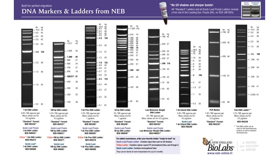 labvolution