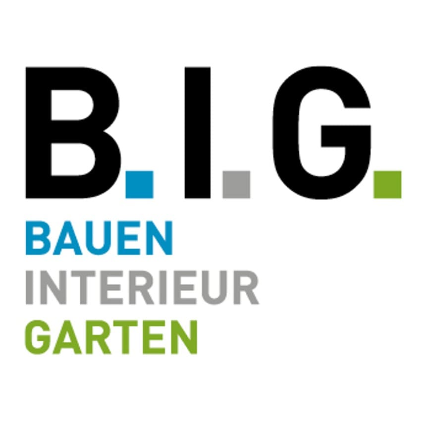 B.I.G. logo