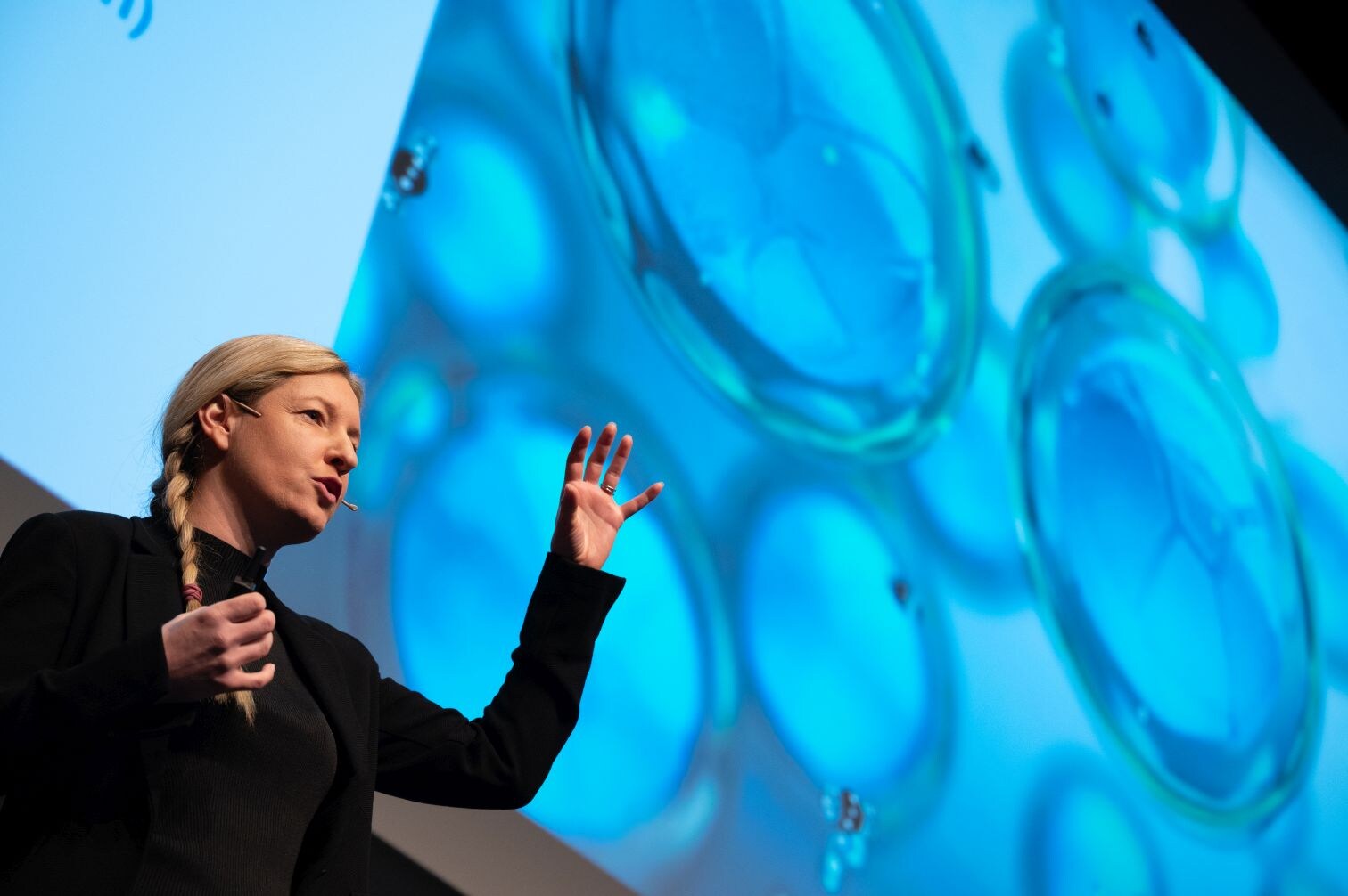 Dr. Nina Gaißert